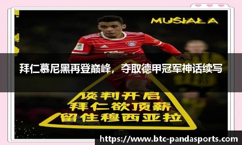 熊猫体育官网