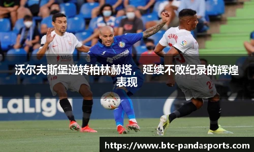 熊猫体育